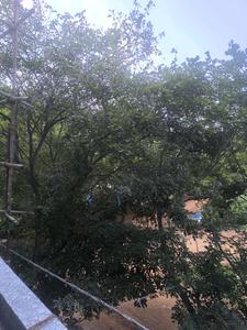 Bedroom Five Image of 3150 Sq.ft 5 BHK Apartment / Flat for sale in Bangalore City Municipal Corporation Layout Bengaluru for Rs. 29000150