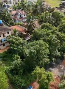 Image of 1575 Sq.ft Residential Plot / Land for sale in Verla Canca, Goa for Rs. 78700000