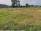 Dasna Plot View 2