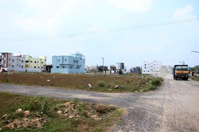 Plot View