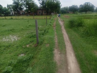 Image of 31725 Sq.ft Residential Plot / Land for sale in Chhataripur, Varanasi for Rs. 16500000
