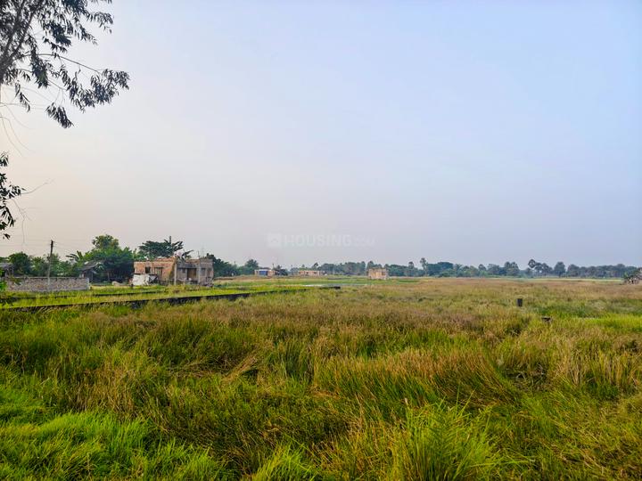 Arapanch Site Plan 1