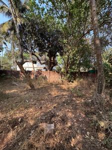 Verem Plot View 3
