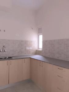 Kitchen Image of 920 Sq.ft 2.5 BHK Apartment / Flat for sale in Amrapali Dream Valley 2, Noida Extension Greater Noida for Rs. 6505000