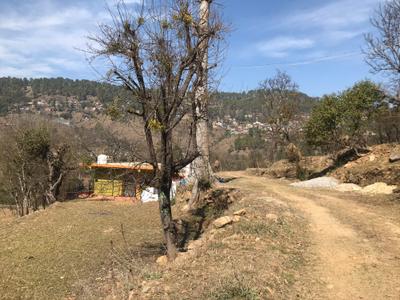 Image of 8953 Sq.ft Residential Plot / Land for sale in Khatyari, Almora for Rs. 5800000