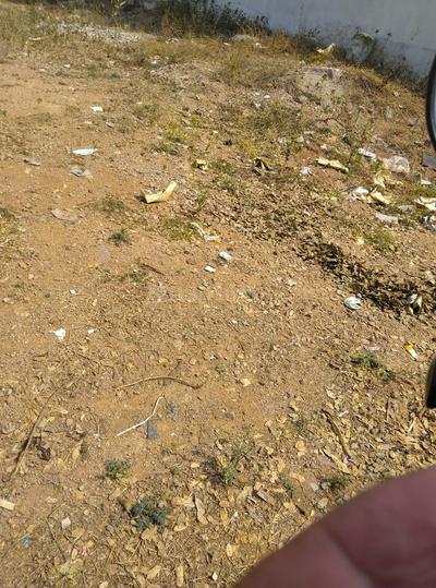 ROYAL RAJPUTANA CO Main Image 1