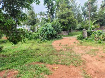 Image of 1400 Sq.ft Residential Plot / Land for sale in Chalakudy, Thrissur for Rs. 16500000