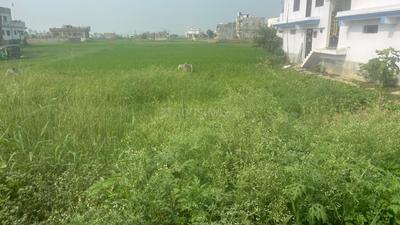 Image of 4083 Sq.ft Residential Plot / Land for sale in Phulwari Sharif, Patna for Rs. 24000000