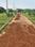 Laxmi Asiyan Annex iii Plot View 2