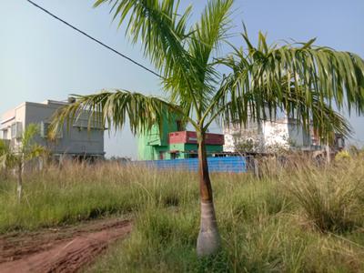 Image of 1440 Sq.ft Residential Plot / Land for sale in Sankharipota, Raypur for Rs. 540003