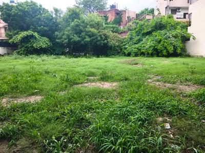 New Colony Plot View 2