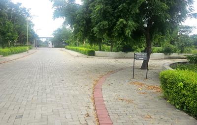Gota Plot View 3
