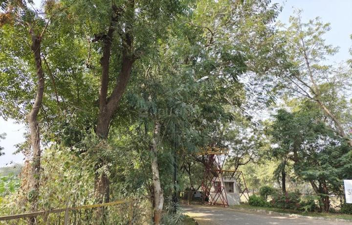 suramya 3 palodiya Main Image 1