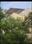 vadodara vista realty More Images 1