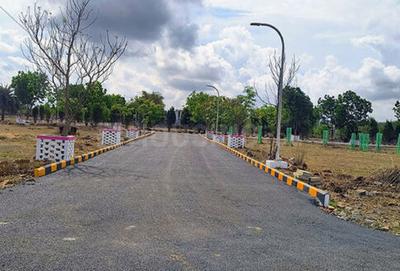 JJS NAGAR Plot View 3