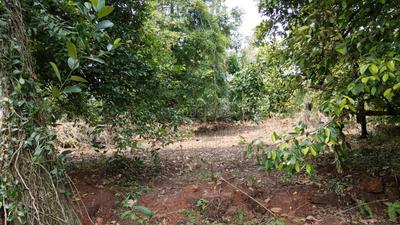 Image of 8700 Sq.ft Residential Plot / Land for sale in Kizhakkambalam, Kochi for Rs. 499995