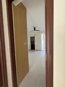 Bedroom Image of 963 Sq.ft 3 BHK Apartment / Flat for rent in Omni Amayra Luxury One, Aujala Mohali for Rs. 32000