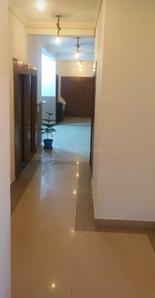 Hall Image of RR PG Coliving sec -52 in Sector 52, Noida