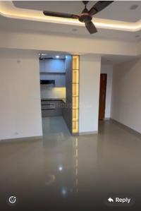 Hall Image of 1100 Sq.ft 2 BHK Apartment / Flat for rent in Sector 14 Dwarka New Delhi for Rs. 49000