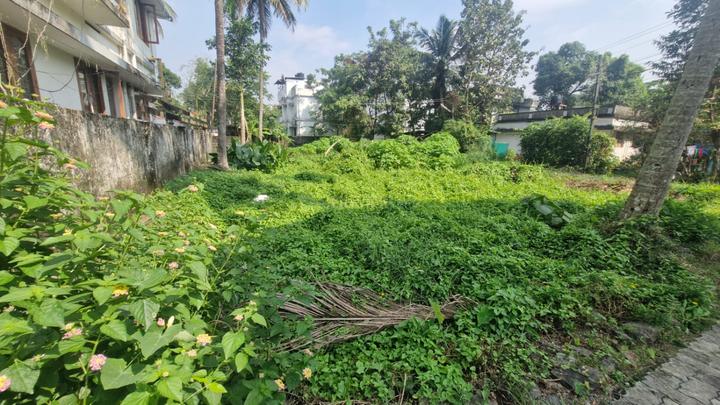 cr plot Main Image 1