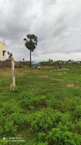 Residential Plot