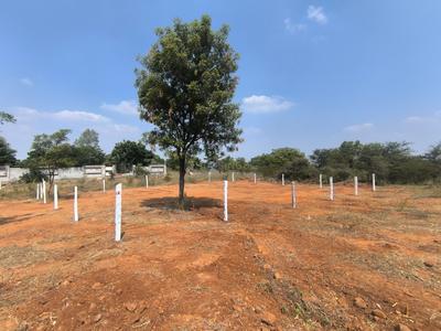 Residential Plot