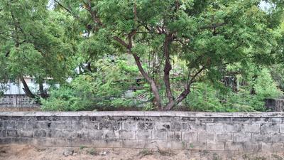 Image of 4800 Sq.ft Residential Plot / Land for sale in Panaiyur, Sholinganallur, Chennai for Rs. 54000000