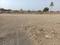 CASTILO DREAM CITY Plot View 2