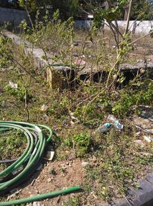 Image of 244 Sq.ft Residential Plot / Land for sale in Alwal, Secunderabad for Rs. 15860000