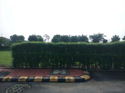 Image of 125 Sq.ft Residential Plot / Land for sale in Omaxe City, Tajupur, Faridabad for Rs. 17000000