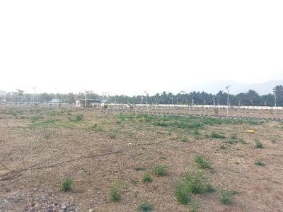 Riverside Plot View 3