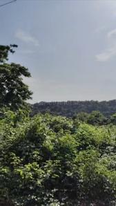 Image of 271 Sq.ft Residential Plot / Land for sale in Kadamba, Goa for Rs. 17600000