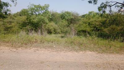 Image of 3000 Sq.ft Residential Plot / Land for sale in Lonikand, Pune for Rs. 10500000