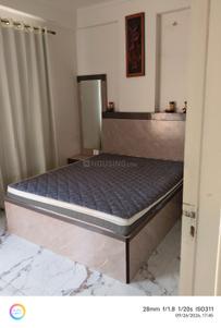 Bedroom Image of 650 Sq.ft 1.5 BHK Apartment / Flat for rent in Shri Kishanpura Jaipur for Rs. 21000