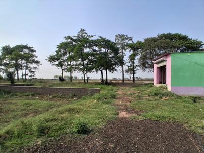 Image of 1400 Sq.ft Residential Plot / Land for sale in Danapur, Patna for Rs. 5657400