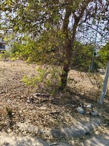 Image of 6180 Sq.ft Residential Plot / Land for sale in Scheme No 140, Indore for Rs. 84975000