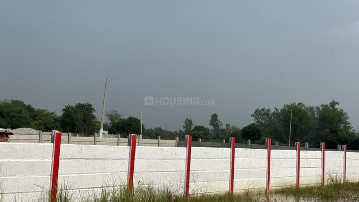 Itaunja Main Image 1