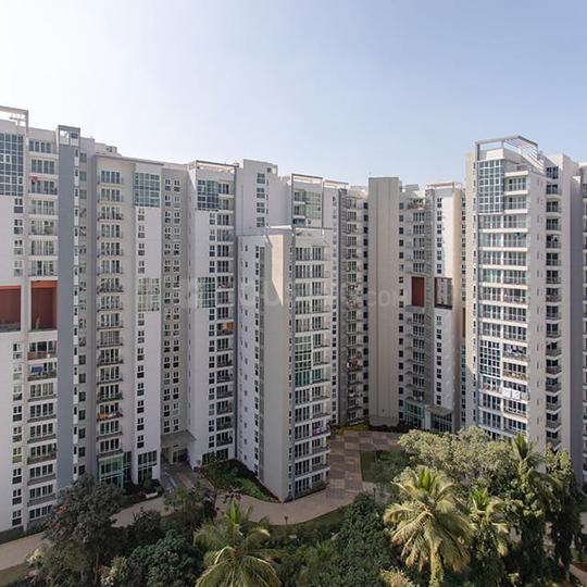 brigade cosmopoli More Images 1