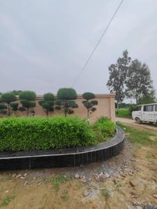 Image of 1550 Sq.ft 3 BHK Duplex for sale in Hometek Enclave, Dara Pur, Barabanki for Rs. 5500000