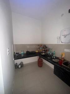 Kitchen Image of 150 Sq.ft 1 BHK Independent House for rent in Fateh Colony Patiala for Rs. 10000