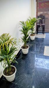 Image of Door step girls Pg in Sector 53, Gurgaon