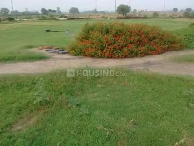 Image of 476 Sq.ft Residential Plot / Land for sale in Altus Muirwoods Ecocity Extension 2 Pocket E, New Chandigarh, Chandigarh for Rs. 49875000