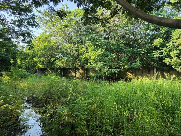 Sholinganallur Main Image 1