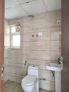 Common Bathroom Image of 995 Sq.ft 2 BHK Apartment / Flat for rent in ACE Divino, Noida Extension Greater Noida for Rs. 24499