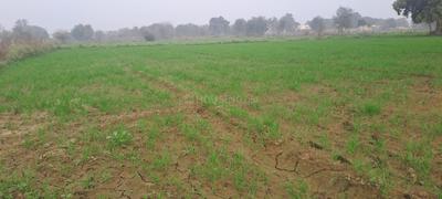 Image of 5000 Sq.ft Residential Plot / Land for sale in Ajayabpur, Greater Noida for Rs. 55000000