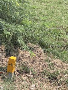 Image of 1200 Sq.ft Residential Plot / Land for sale in Singaperumal Koil, Chennai for Rs. 2900000