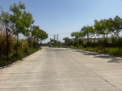 Suramya 2 Plot View 2