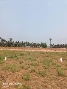 Image of 200 Sq.ft Residential Plot / Land for sale in Morampudi, Rajahmundry for Rs. 4000000