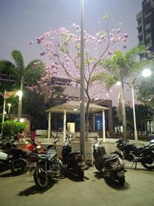 Image of 750 Sq.ft 1 BHK Apartment / Flat for sale in Rohan Rudra, Wagholi, Pune for Rs. 4050000