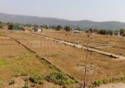 Chaksu Plot View 1